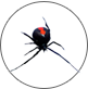 redbackbiotek